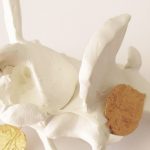 Exposición de Miriam Martínez Guirao en l´Escorxador de Elche